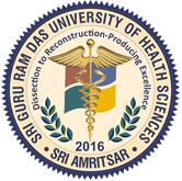 Website Logo